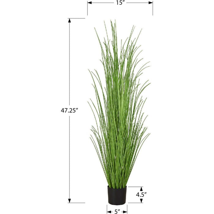 Indoor Grass - 47" Artificial Plant in a 5" Pot
