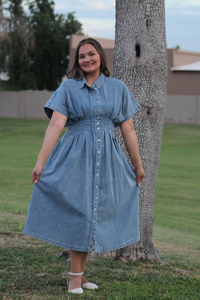 Karina’s Stretchy Button-Down Denim
Pleated Midi Dress