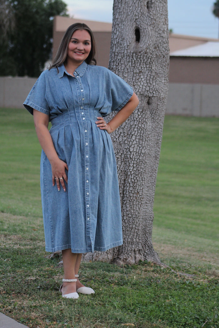 Karina’s Stretchy Button-Down Denim
Pleated Midi Dress