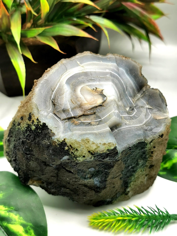 Large two-piece Moss Agate geode / cluster / crystal - reiki/energy/chakra healing - 4 inches (10 cms) and 1.56 kgs (3.43 lb) - Shwasam