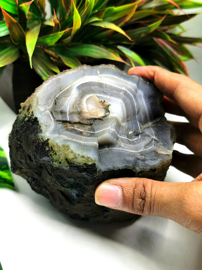 Large two-piece Moss Agate geode / cluster / crystal - reiki/energy/chakra healing - 4 inches (10 cms) and 1.56 kgs (3.43 lb) - Shwasam