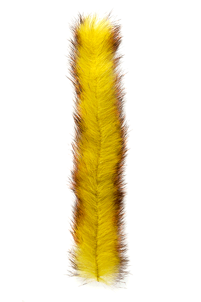 Yellow/Orange