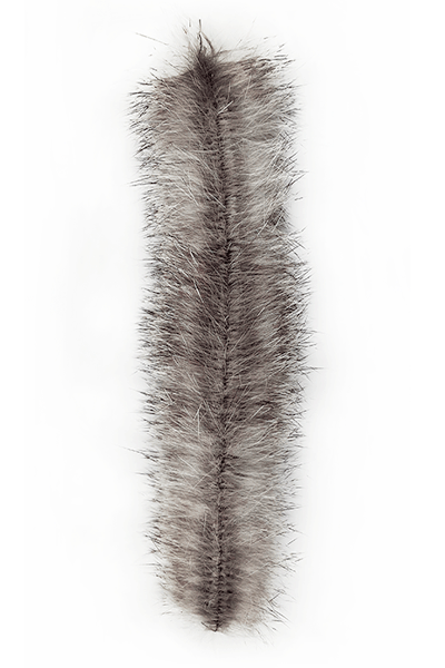 Chinchilla