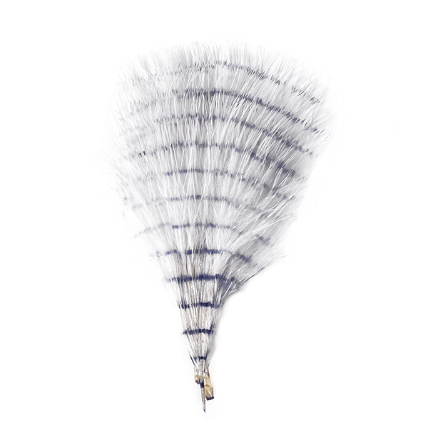 MFC Fine Barred Marabou - Spawn Fly Fish - Montana Fly Company
