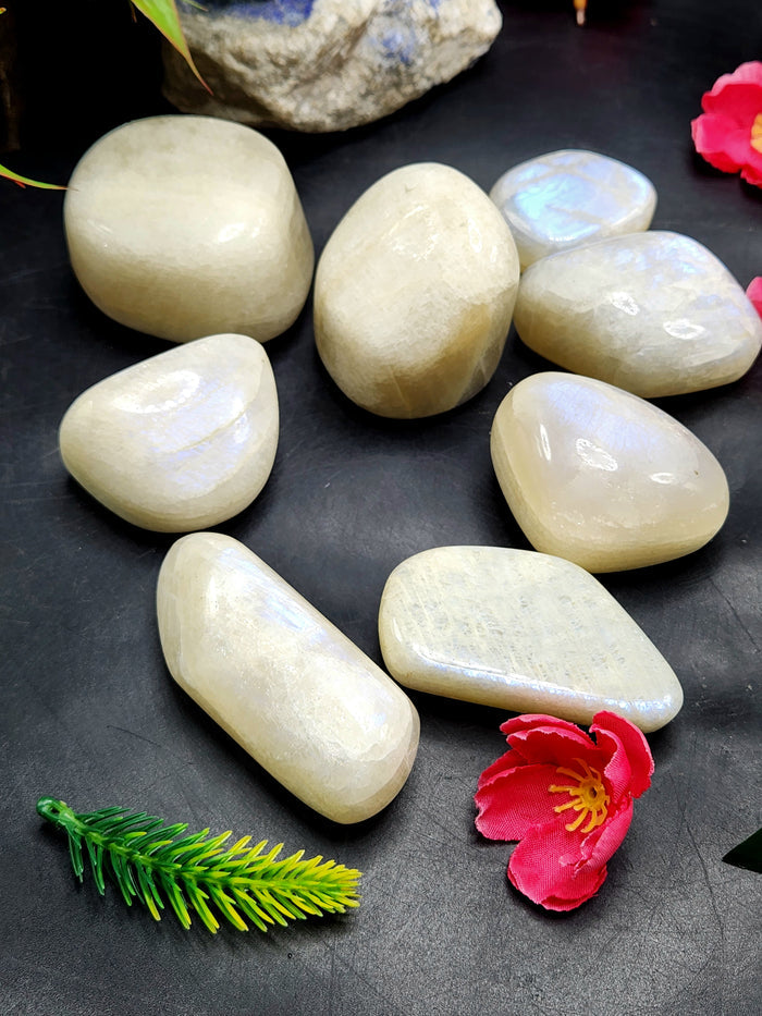 Moonstone Free Forms Lot of 8 with Blue Flash: A Dance of Celestial Elegance | Gemstone healing | Gift a gemstone