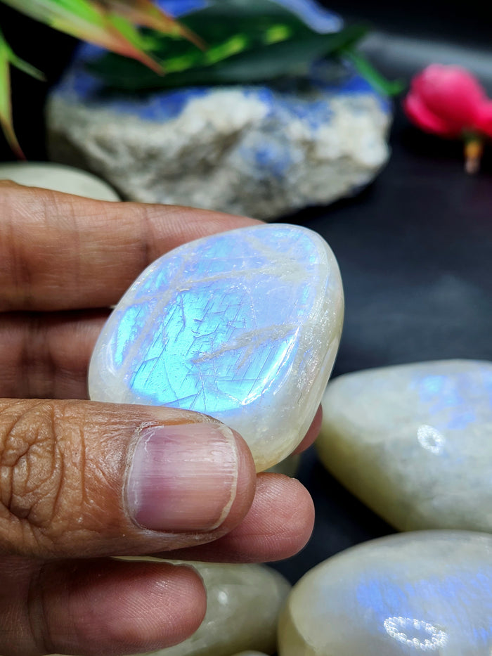 Moonstone Free Forms Lot of 8 with Blue Flash: A Dance of Celestial Elegance | Gemstone healing | Gift a gemstone