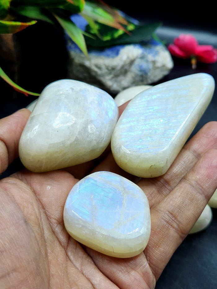 Moonstone Free Forms Lot of 8 with Blue Flash: A Dance of Celestial Elegance | Gemstone healing | Gift a gemstone
