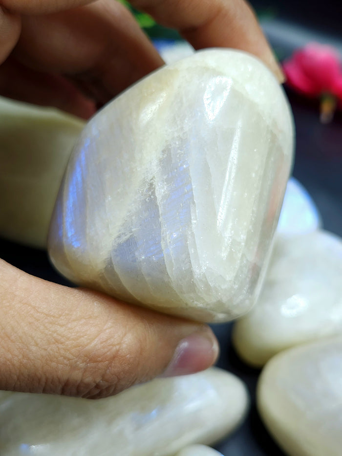 Moonstone Free Forms Lot of 8 with Blue Flash: A Dance of Celestial Elegance | Gemstone healing | Gift a gemstone