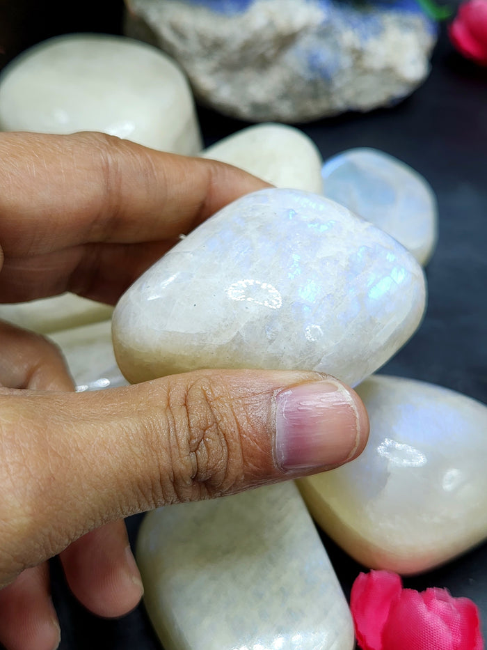 Moonstone Free Forms Lot of 8 with Blue Flash: A Dance of Celestial Elegance | Gemstone healing | Gift a gemstone