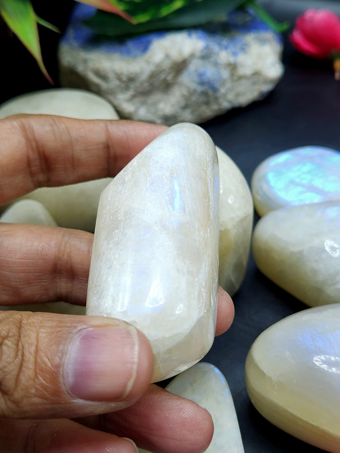 Moonstone Free Forms Lot of 8 with Blue Flash: A Dance of Celestial Elegance | Gemstone healing | Gift a gemstone