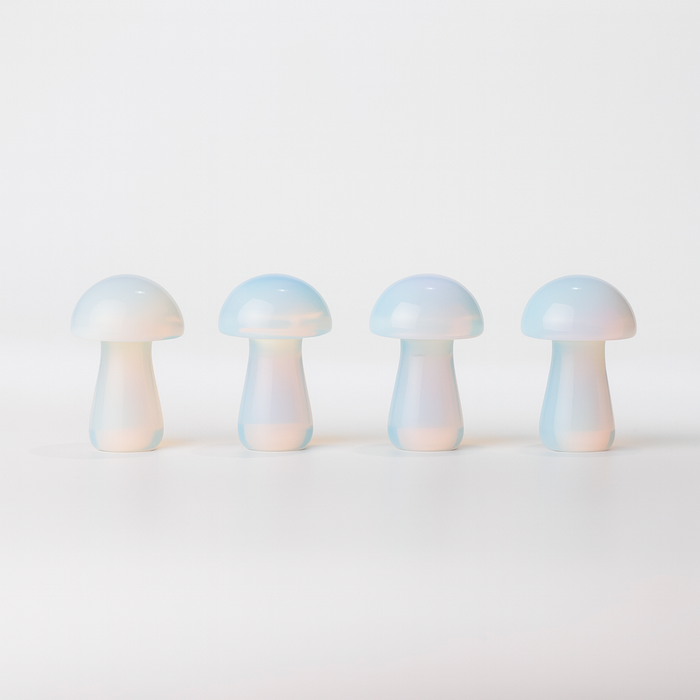 Mushroom Gua Sha