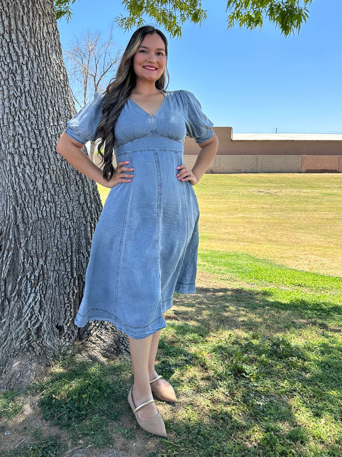 Nelly Midi Denim Dress