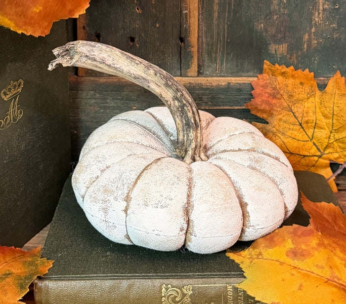 PPP-47D Painted Fabric Pumpkin - White