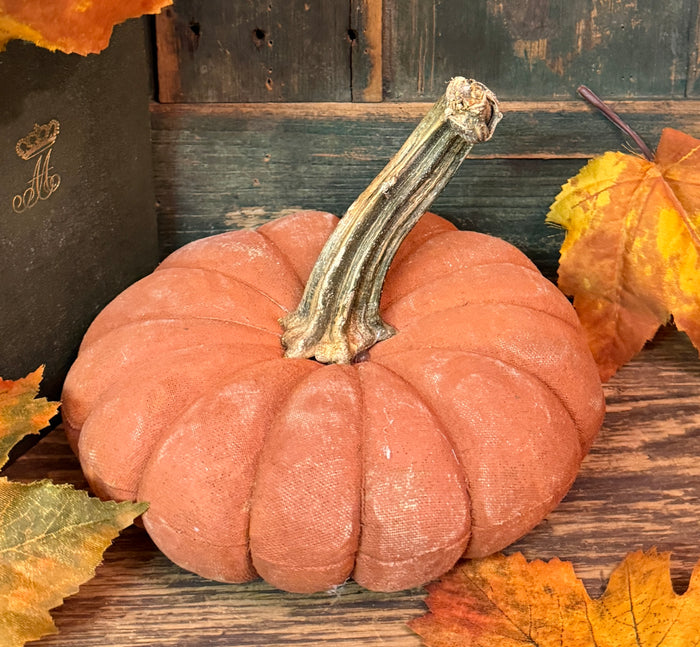 PPP-48A Painted Fabric Pumpkin - Light Orange