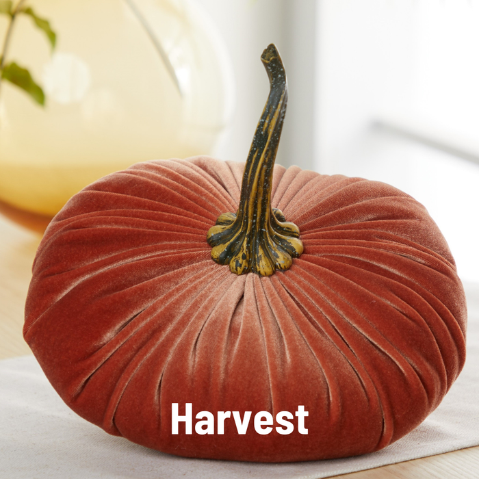 Pumpkin Extra Large Velvet, Fall Accent, Halloween, Tabletop
