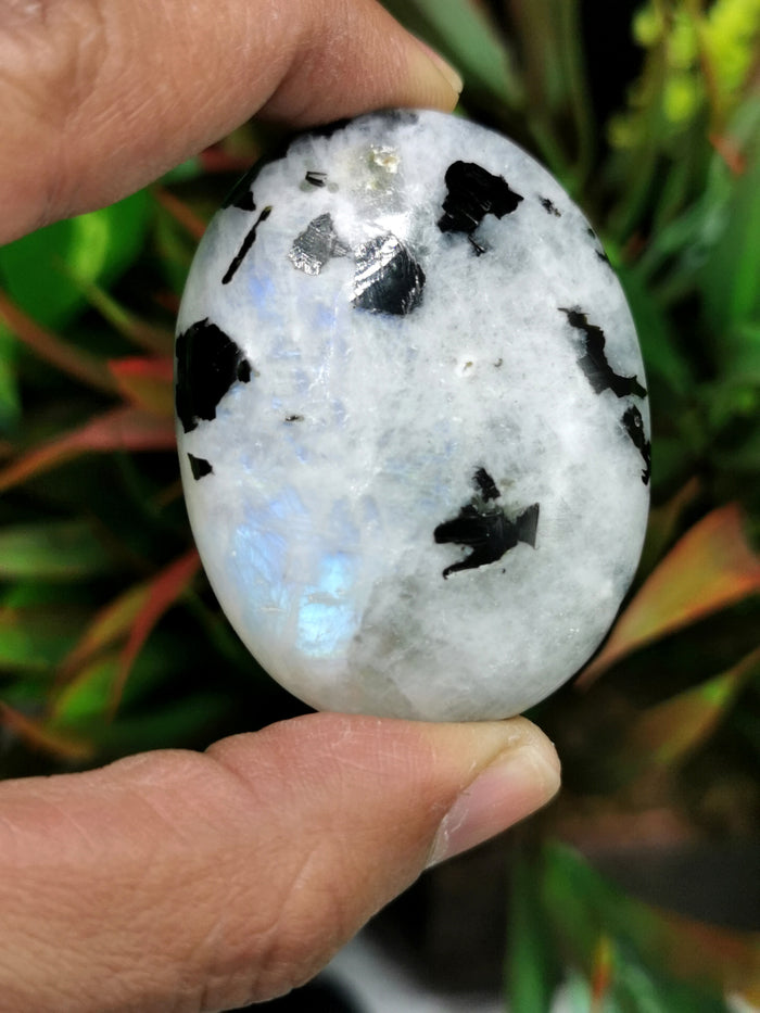 Rainbow Moonstone palm stones - ONE PIECE - crystal/chakra/reiki/healing - 50 gms weight