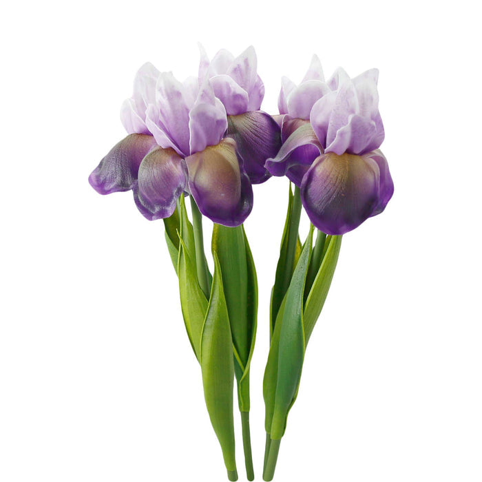 Real Touch Bearded Iris Stem