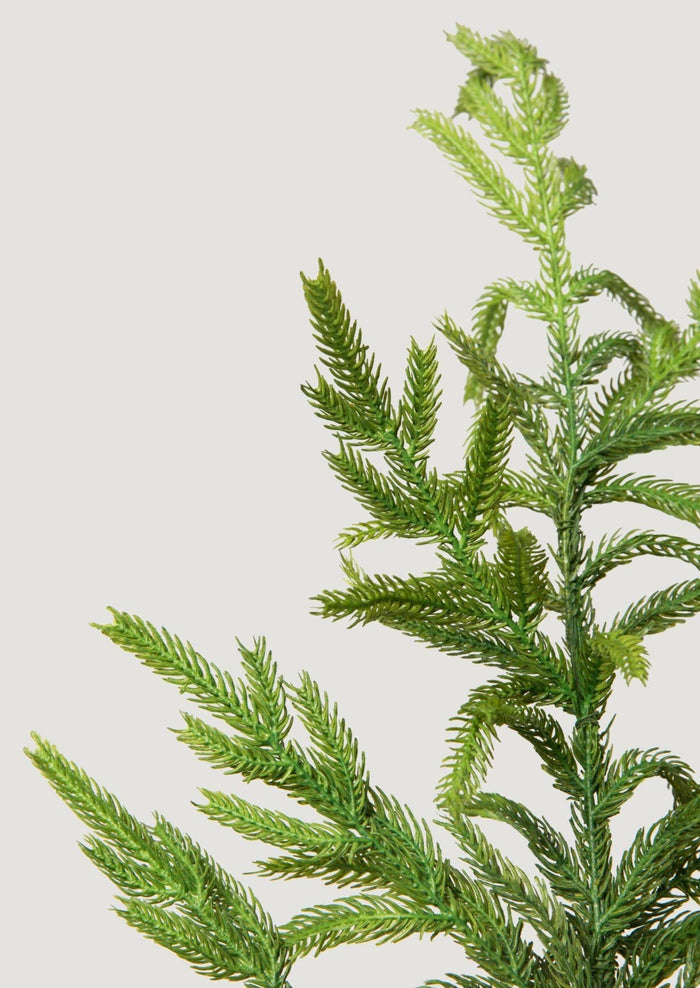 Real Touch Norfolk Pine Branch
