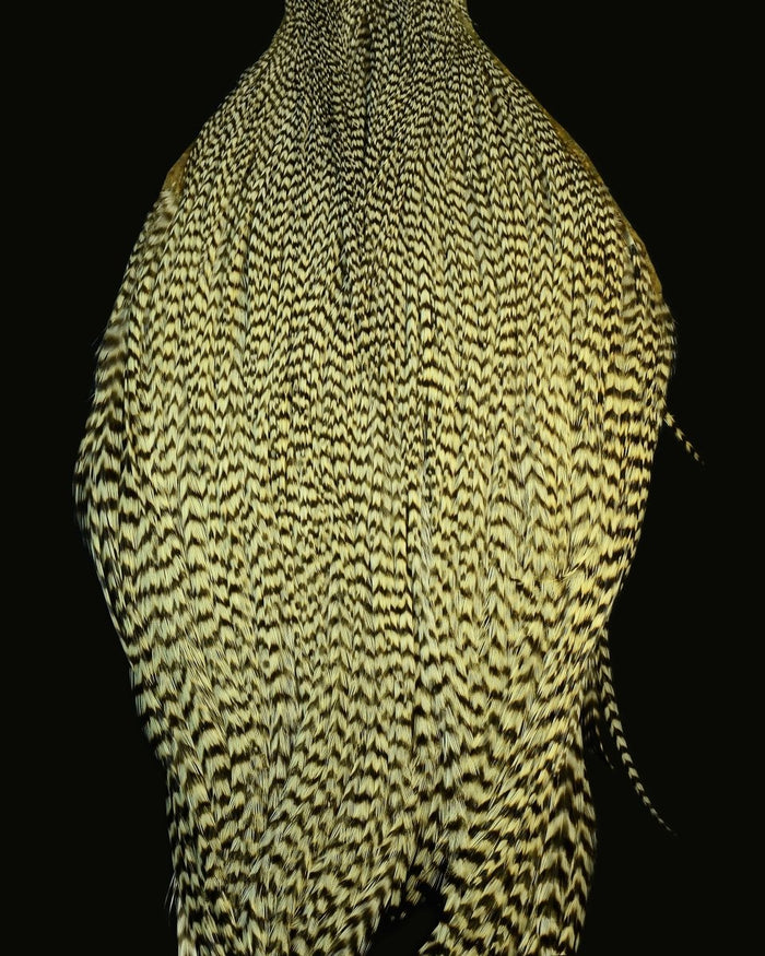 Root River Cape - Spawn Fly Fish - Root River Hackle