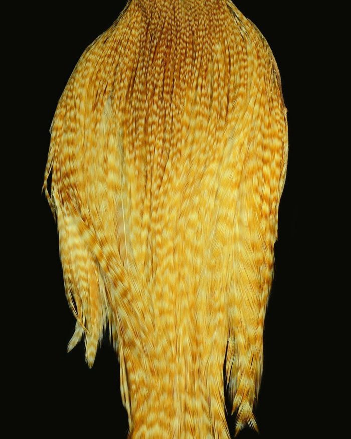 Root River Cape - Spawn Fly Fish - Root River Hackle