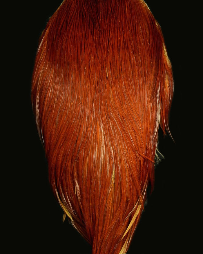 Root River Cape - Spawn Fly Fish - Root River Hackle