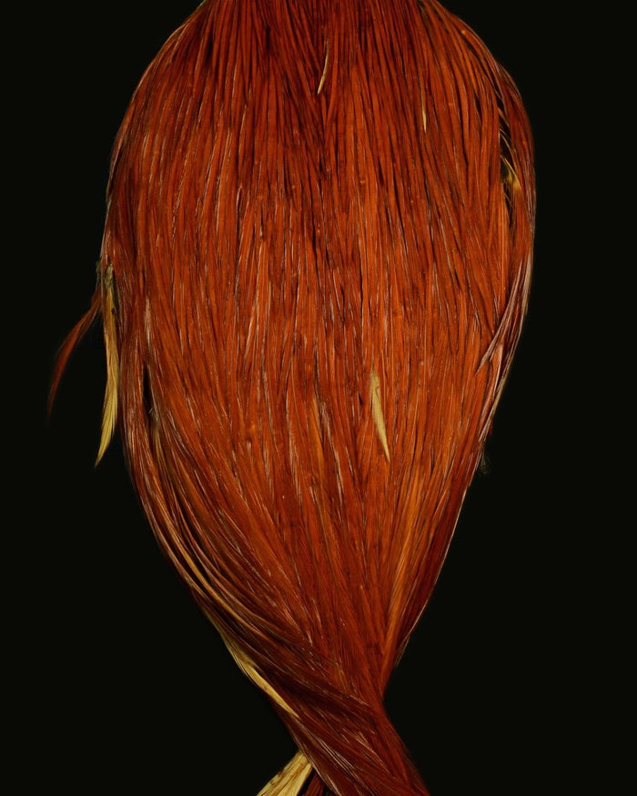 Root River Cape - Spawn Fly Fish - Root River Hackle