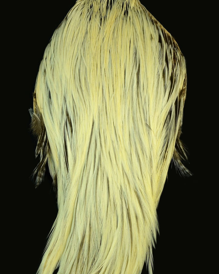 Root River Cape - Spawn Fly Fish - Root River Hackle
