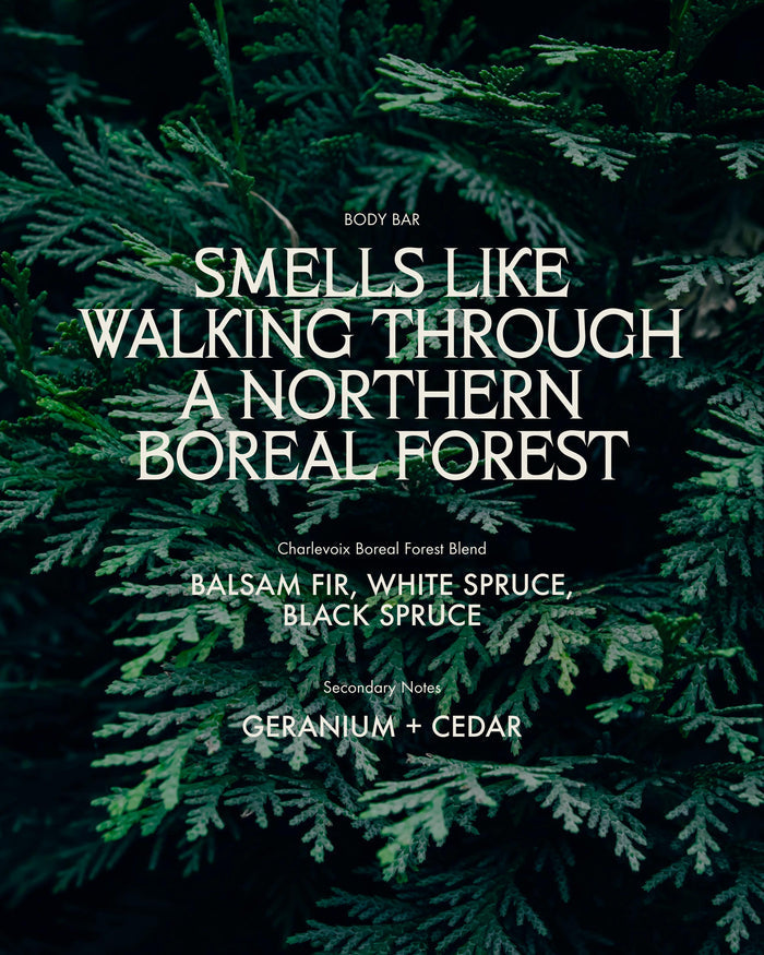 Sans Savon Body Bar Charlevoix Boreal Forest Blend