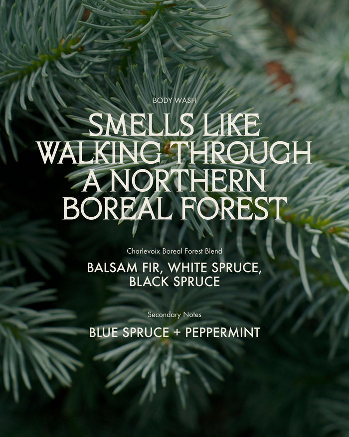 Sans Savon Body Wash Charlevoix Boreal Forest Blend