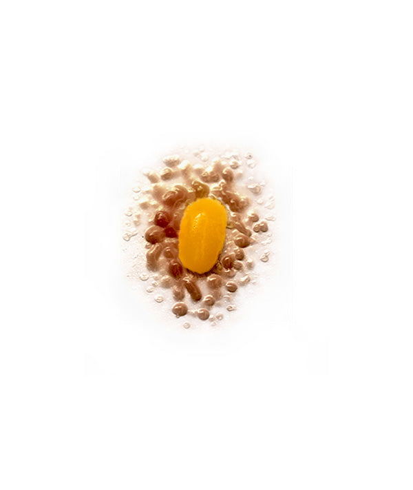 Severe Insect Bite 2