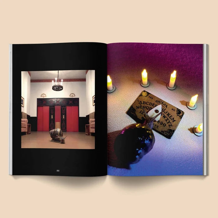 Snail World 2: Welcome To Slimetown Coffee Table Book