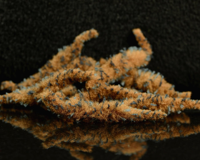 Fly Tying Essential: Spawn Grizzly Polliwog Tails - Spawn Fly Fish - Spawn Fly Fish