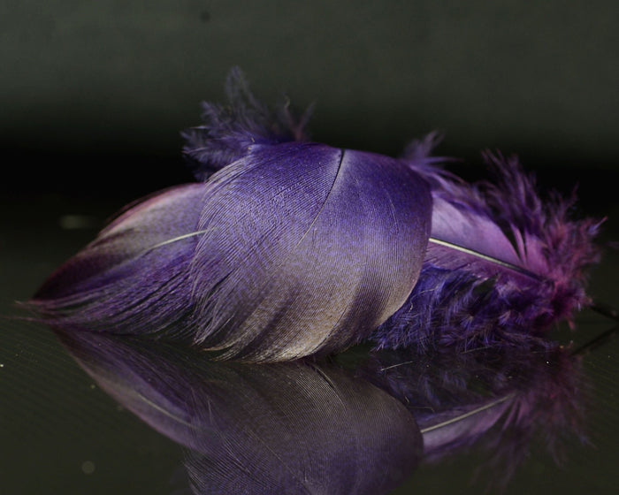 Spawn Super Select - Dyed Bronze Mallard - Spawn Fly Fish - Spawn Fly Fish