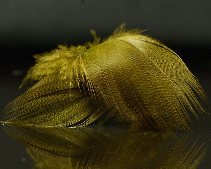 Spawn Super Select - Dyed Bronze Mallard - Spawn Fly Fish - Spawn Fly Fish