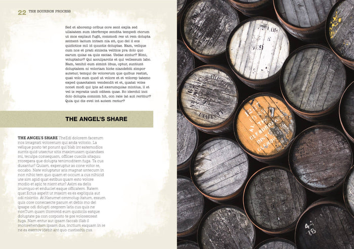 The Bourbon Bible Book