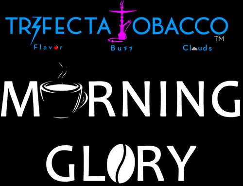Morning Glory