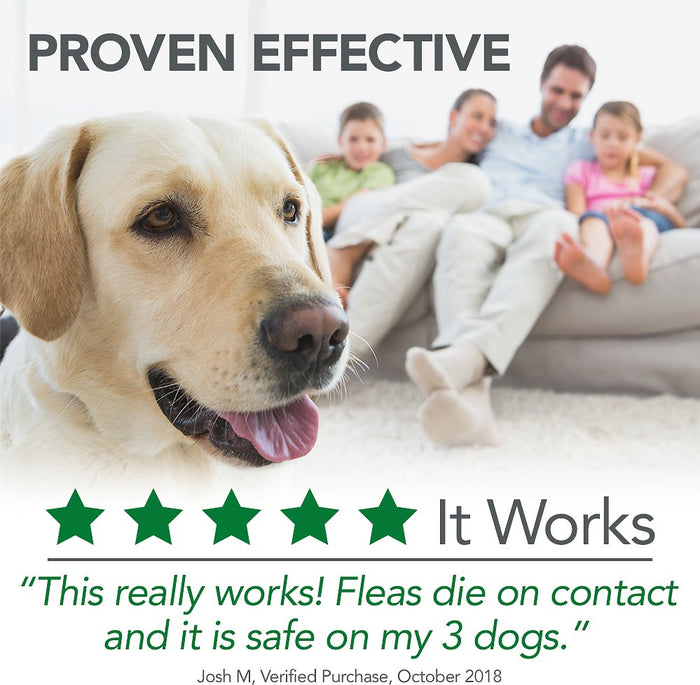 Vet's Best Indoor Flea & Tick Spray for Dogs & Cats
