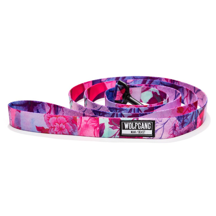 1" 6 Ft Leash