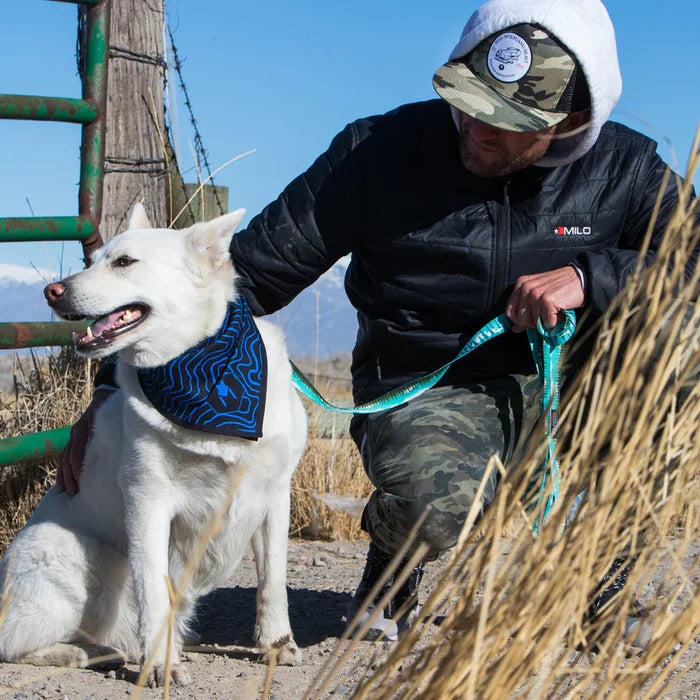 Wolfgang Great Escape Dog Collar