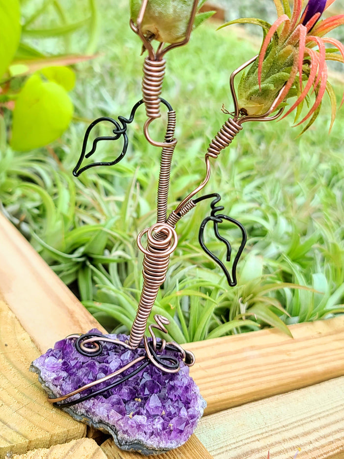 WYSIWYG Amethyst Cluster Air Plant Holder with Ionantha Mexican