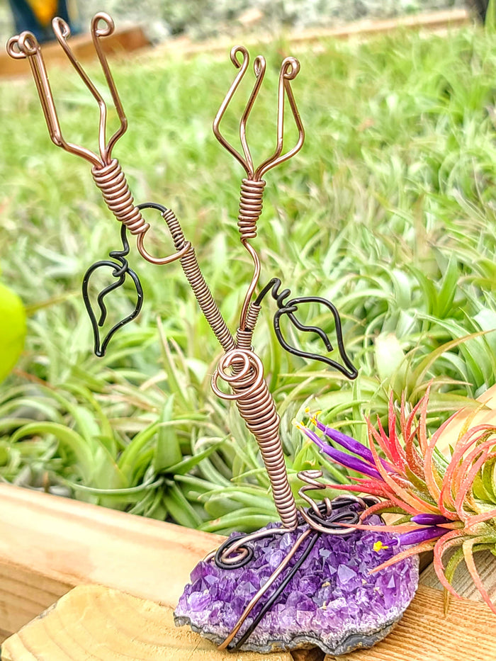 WYSIWYG Amethyst Cluster Air Plant Holder with Ionantha Mexican