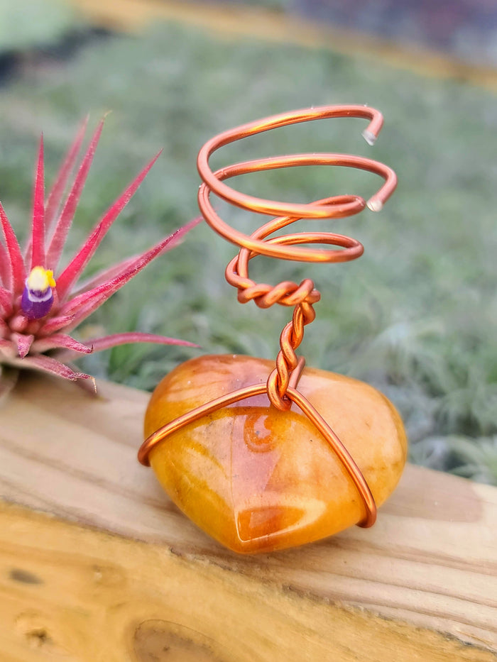 WYSIWYG Carnelian Heart Air Plant Holder with Ionantha Mexican